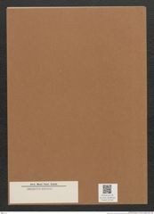 Diatomeae indet. Zeichnungen Sammlung Grunow Mappe 03169 (Herbarium_W_Grunow_drawings_Folder_03169)